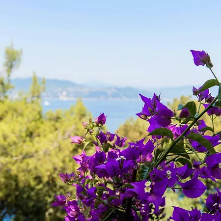 Peninsula Portofino