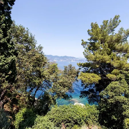 Peninsula *