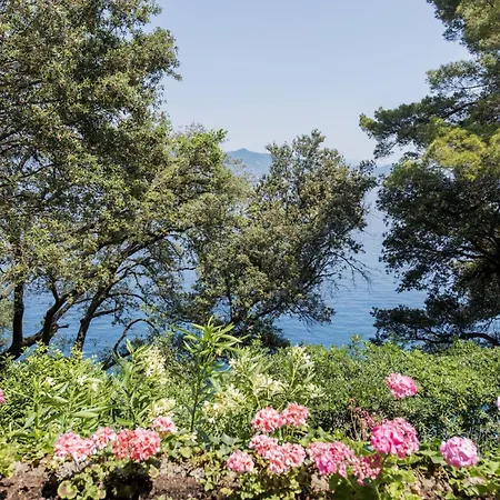 Peninsula Villa Portofino