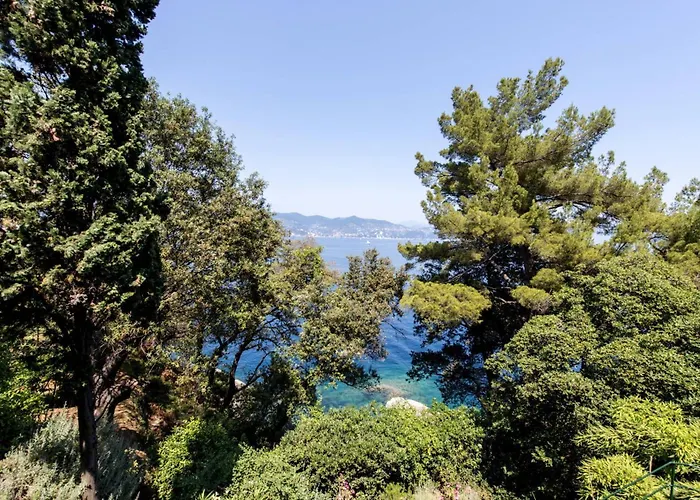 Peninsula *